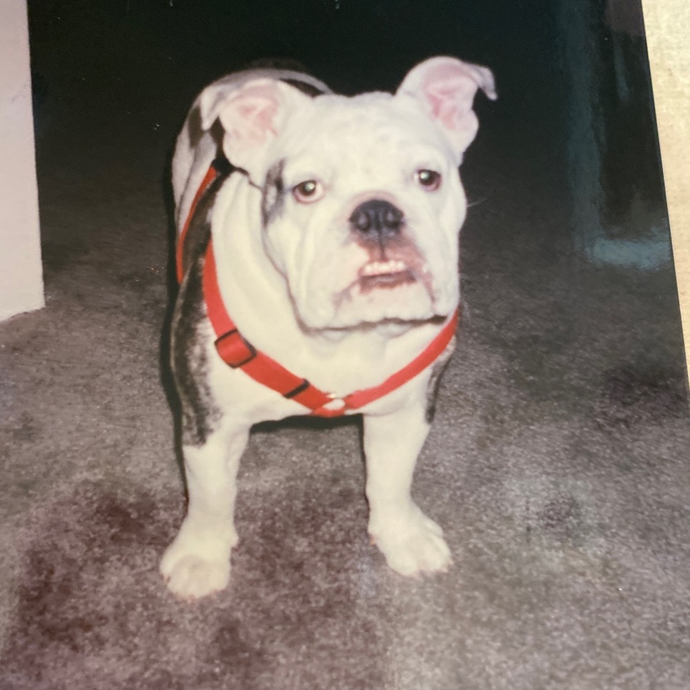 Meet your Posher, Terry